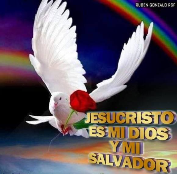 justoalecio